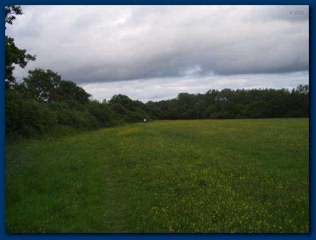 600x449 pixels (100K)